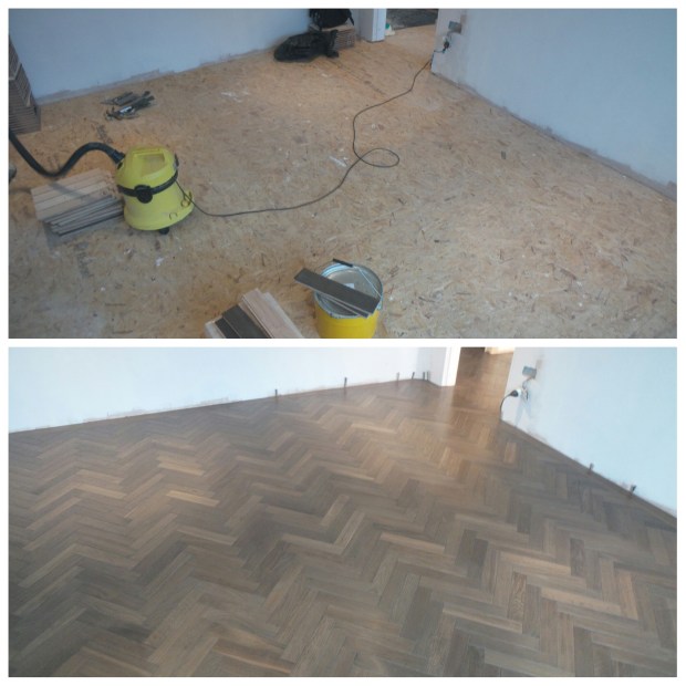 PhotoGrid_1447517807082-1