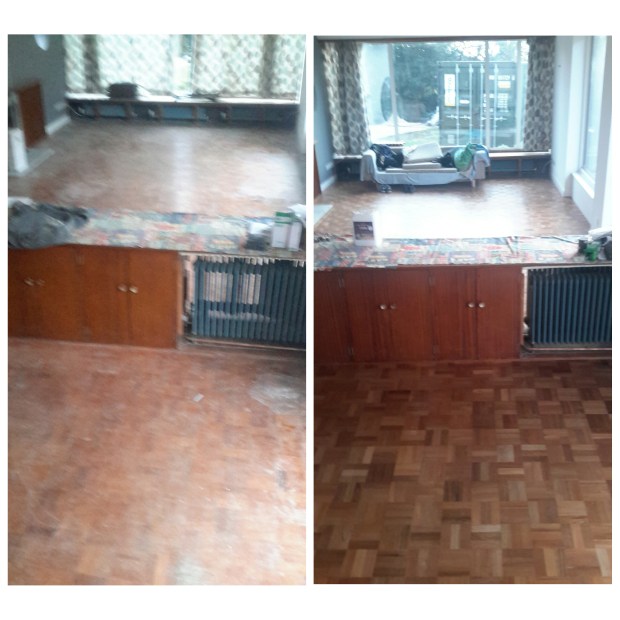 photogrid_1456573684512