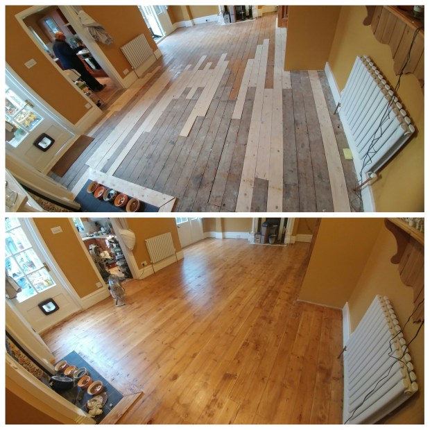 photogrid_1478700146479