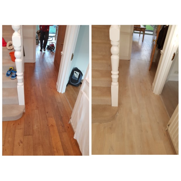 PhotoGrid_1513524794705