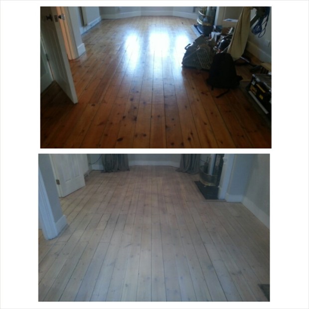 photogrid_1415822472498 (1).jpg